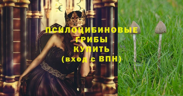 кокаин премиум Краснослободск