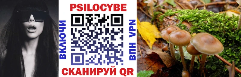 Псилоцибиновые грибы Psilocybe  Можайск 